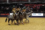 Quadrille - 00914